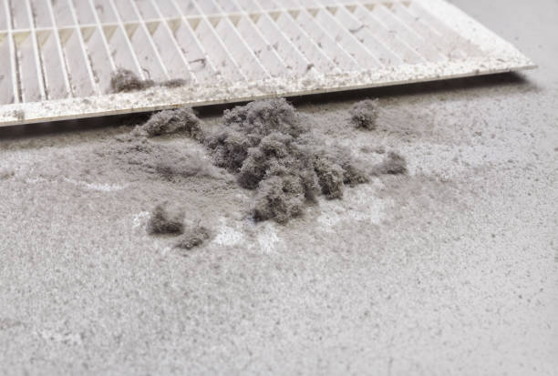 Best Air Duct Sanitizing Services  in Lake Vla, IL