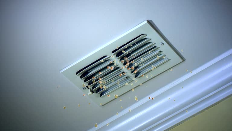  Lake Vla, IL Airduct Cleaning Pros