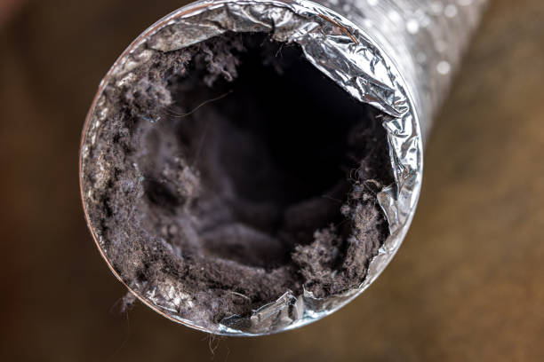 Best Affordable Duct Cleaning Services  in Lake Vla, IL