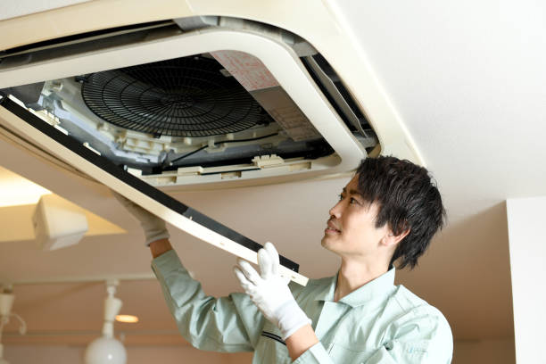 Best Dryer Vent Cleaning Services  in Lake Vla, IL