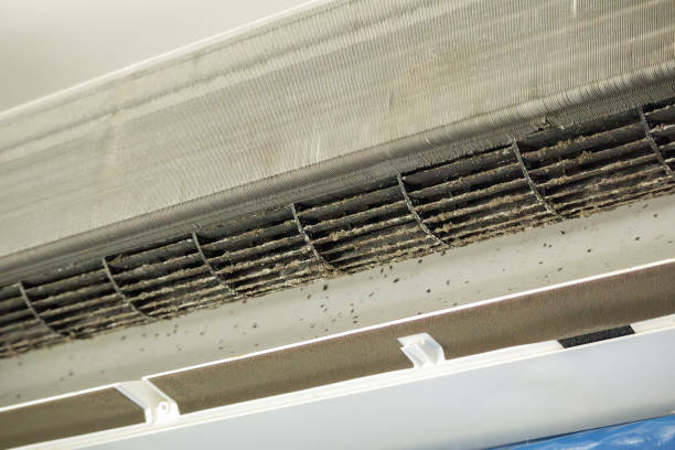 Best Air Vent Cleaning Services  in Lake Vla, IL