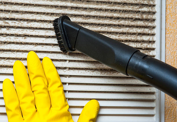 Best Affordable HVAC Duct Cleaning  in Lake Vla, IL