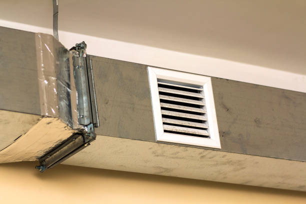 Best Ductwork Cleaning Services  in Lake Vla, IL